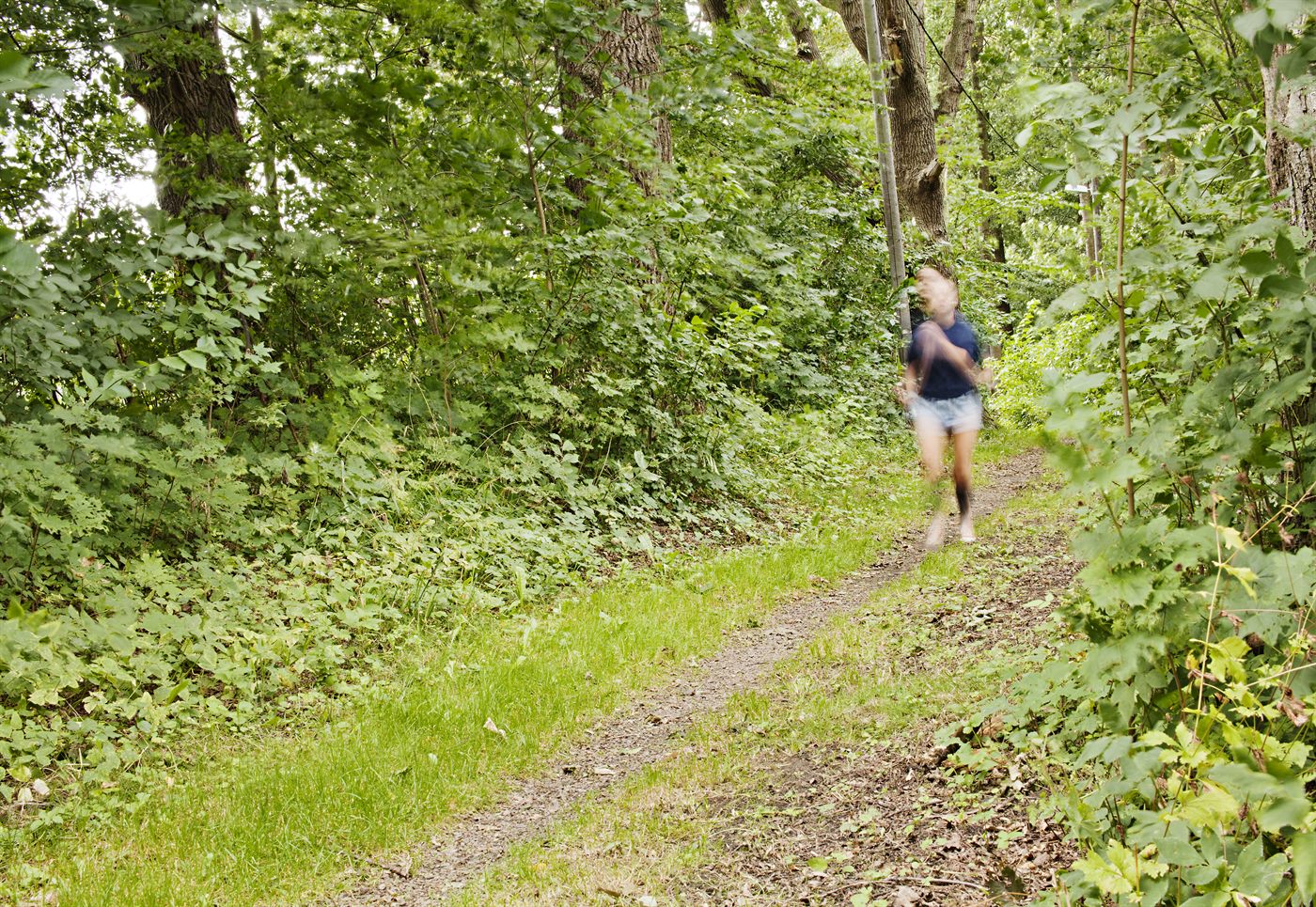Naturvy i Kvidinge